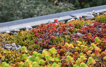 the cost of Brimps Hill green roof installation