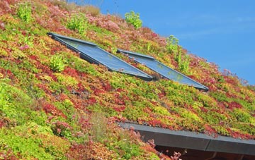 Brimps Hill living roof systems
